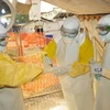 Nhân viên y tế điều trị cho bệnh nhân Ebola tại bệnh viện Donka ở Conakry, Guinea ngày 8/3. (Nguồn: AFP/TTXVN)