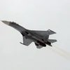 Máy bay tiêm kích Su-27. (Nguồn: Sputniknews.com)