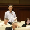 Đại biểu Quốc hội tỉnh Hà Nam Trần Xuân Hùng phát biểu ý kiến. (Ảnh: Phương Hoa/TTXVN)