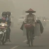 Đường phố Palangkaraya ở Indonesia chìm trong khói mù. (Nguồn: Reuters)