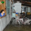 Triều cường gây ngập lụt tại Thành phố Hồ Chí Minh. (Ảnh minh họa: Mạnh Linh/TTXVN)