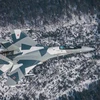 Su-35. (Nguồn: UPI)