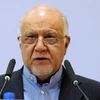 Bộ trưởng Dầu mỏ Iran Bijan Namdar Zanganeh phát biểu tại hội nghị. (Nguồn: AFP/TTXVN) 
