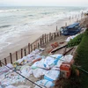 Đoạn bờ biển Cửa Đại bị sạt lở nghiêm trọng sát vào khu vực kinh doanh của người dân. (Ảnh: Trần Lê Lâm/TTXVN) 