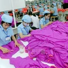 Sản xuất hàng may mặc xuất khẩu tại Công ty may Hòa Thọ tại Khu công nghiệp Nam Đông Hà. (Ảnh: Danh Lam/TTXVN)