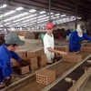 Sản xuất gạch tuynel tại Hợp tác xã dịch vụ nông nghiệp, kinh doanh tổng hợp Đại Hiệp, huyện Đại Lộc, tỉnh Quảng Nam. (Ảnh: Đỗ Trưởng/TTXVN)