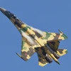 Máy bay Sukhoi Su-35. (Nguồn: Nationalinterest.org)