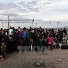 Người tị nạn Syria và Iraq tại khu vực biên giới Hy Lạp- Macedonia ngày 27/2. (Nguồn: AFP/TTXVN)