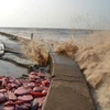 Dù đã được khắc phục tạm thời nhưng do sóng biển đánh mạnh nên kè Gành Hào vẫn đang có nguy cơ tiếp tục sạt lở. (Ảnh: Nguyễn Thanh Liêm/TTXVN)