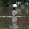 Lũ lụt ở Sri Lanka. (Nguồn: nbcnews)