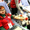 Tình nguyện viên hiến máu tại Lễ hội Xuân hồng 2016. (Ảnh: Dương Ngọc/TTXVN)