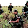 Các tay súng của FARC. (Nguồn: theguardian.com)