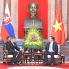 Chủ tịch nước Trần Đại Quang tiếp Thủ tướng Slovakia, ngài Robert Fico đang thăm chính thức Việt Nam. (Ảnh: Nhan Sáng/TTXVN)