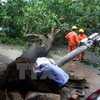 Cây xanh trên đường Lê Lai, thành phố Thanh Hóa bị gãy đã quật ngã cột điện. (Ảnh: Thanh Tùng/TTXVN)