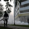 Phun thuốc diệt muỗi ở một khu dân cư tại Singapore. (Nguồn: AFP/TTXVN)