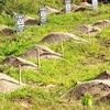 Những phần mộ tại nghĩa trang phía Bắc Nha Trang. (Nguồn: Khanhhoaplus.net)