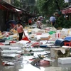 Cảnh ngổn ngang sau khi bão Meranti đổ bộ vào Trung Quốc. (Nguồn: AFP)