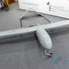 Chiếc UAV bị đánh chặn. (Nguồn: Dninews.com)