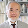 Giáo sư người Nhật Bản Yoshinori Ohsumi. (Nguồn: Reuters) 