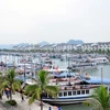 Quang cảnh Cảng tàu khách quốc tế Tuần Châu. (Ảnh: Nguyễn Hoàng/TTXVN)