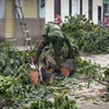 Cây cối bị gãy đổ sau bão Matthew tại Guantanamo, Cuba ngày 3/10. (Nguồn: AFP/TTXVN)