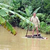 Phương tiên đi lại, sinh hoạt của người dân xã Thạch Lâm, huyện Thạch Hà, Hà Tĩnh trong ngày mưa lũ là chiếc bè được ghép bằng những cây chuối. (Ảnh: Phan Quân/TTXVN)