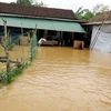 Nước ngập vào nhà dân thôn Phía Nam, xã Thạch Tân, huyện Thạch Hà, Hà Tĩnh. (Ảnh: Công Tường/TTXVN) 