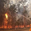 Cháy rừng tại New South Wales. (Nguồn: abc.net.au) 