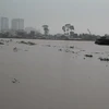 Một góc sông Đồng Nai. (Nguồn: TTXVN)