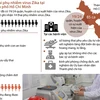 14 thai phụ nhiễm virus Zika tại Thành phố Hồ Chí Minh.