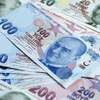 Đồng nội tệ của Thổ Nhĩ Kỳ. (Nguồn: Al Arabiya)
