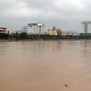 Nước sông Trà Khúc đoạn qua địa bàn thành phố Quảng Ngãi. (Nguồn: TTXVN)