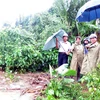 Lãnh đạo tỉnh Quảng Ngãi kiểm tra tình hình khắc phục hậu quả mưa lũ tại huyện Mộ Đức. (Ảnh: Sỹ Thắng: TTXVN)