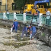 Công nhân vệ sinh môi trường thu gom cá chết tại Hồ Tây. (Ảnh: Mai Linh/TTXVN)