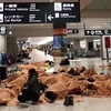 Du khách ngủ tại sân bay tại Sapporo. (Nguồn: Straitstimes.com)