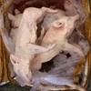 Hơn 500kg thịt lợn sữa không rõ nguồn gốc bị bắt giữ. (Ảnh: Trịnh Duy Hưng/TTXVN) 