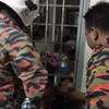 Lính cứu hỏa cắt bỏ chấn song sắt để cứu cậu bé. (Nguồn: Nst.com.my)