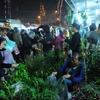 Du khách chọn mua cây cảnh tại chợ Viềng (Nam Định) trong đêm 3, rạng sáng 4/2. (Ảnh: Minh Đức/TTXVN)
