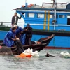 Trục vớt tàu cá và cứu ngư dân bị nạn. (Ảnh minh họa: Quốc Việt/TTXVN)