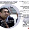 Đôi nét về Kim Jong-nam - anh trai của Kim Jong-un