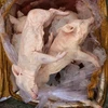 Tang vật một vụ bắt giữ thịt lợn sữa chưa rõ nguồn gốc. (Ảnh: Trịnh Duy Hưng/TTXVN) 
