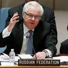 Trưởng Phái đoàn đại diện thường trực Liên bang Nga tại Liên hợp quốc Vitaly Churkin. (Nguồn: File)