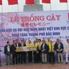 Chủ tịch Hội Hữu nghị Nhật-Việt vùng Chukyo trao tặng 100 cây hoa anh đào cho thành phố Bắc Ninh. (Ảnh: Thái Hùng/TTXVN) 