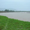 Một góc sông Dinh. (Nguồn: TTXVN)