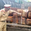 Lực lượng chức năng kiểm đếm số gỗ lậu bị thu giữ trong một vụ vận chuyển trái phép. (Ảnh: Hồ Cầu/TTXVN)
