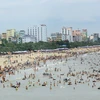 Bãi biển Sầm Sơn, một trong nhũng điểm thu hút đông khách du lịch. (Ảnh: Quang Quyết/TTXVN)