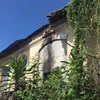 Bạc Liêu: Di dời các hộ dân ra khỏi ngôi nhà cổ có nguy cơ đổ sập