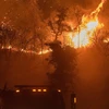 Cháy rừng tại California. (Nguồn: Abcnews)