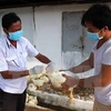 Cán bộ thú y lấy mẫu bệnh phẩm, giám sát dịch bệnh tại một trại chăn nuôi gà ở huyện biên giới Bến Cầu, Tây Ninh. (Ảnh: Lê Đức Hoảnh/TTXVN)