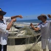 Ngư lưới cụ của ngư dân xã Phú Thuận, huyện Phú Vang bị cá nóc cắn phá. (Ảnh: Hồ Cầu/TTXVN)